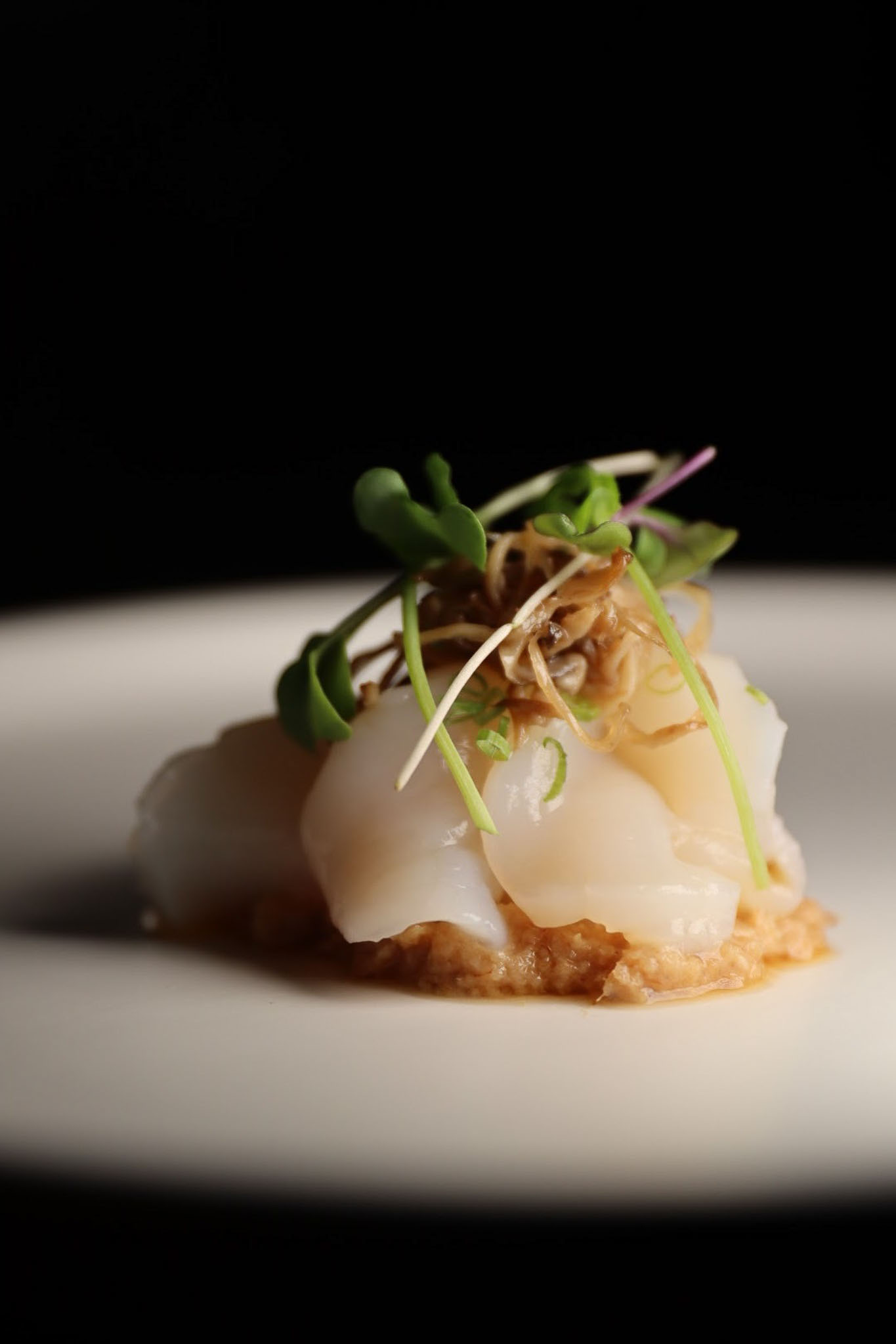 Umami Omakase